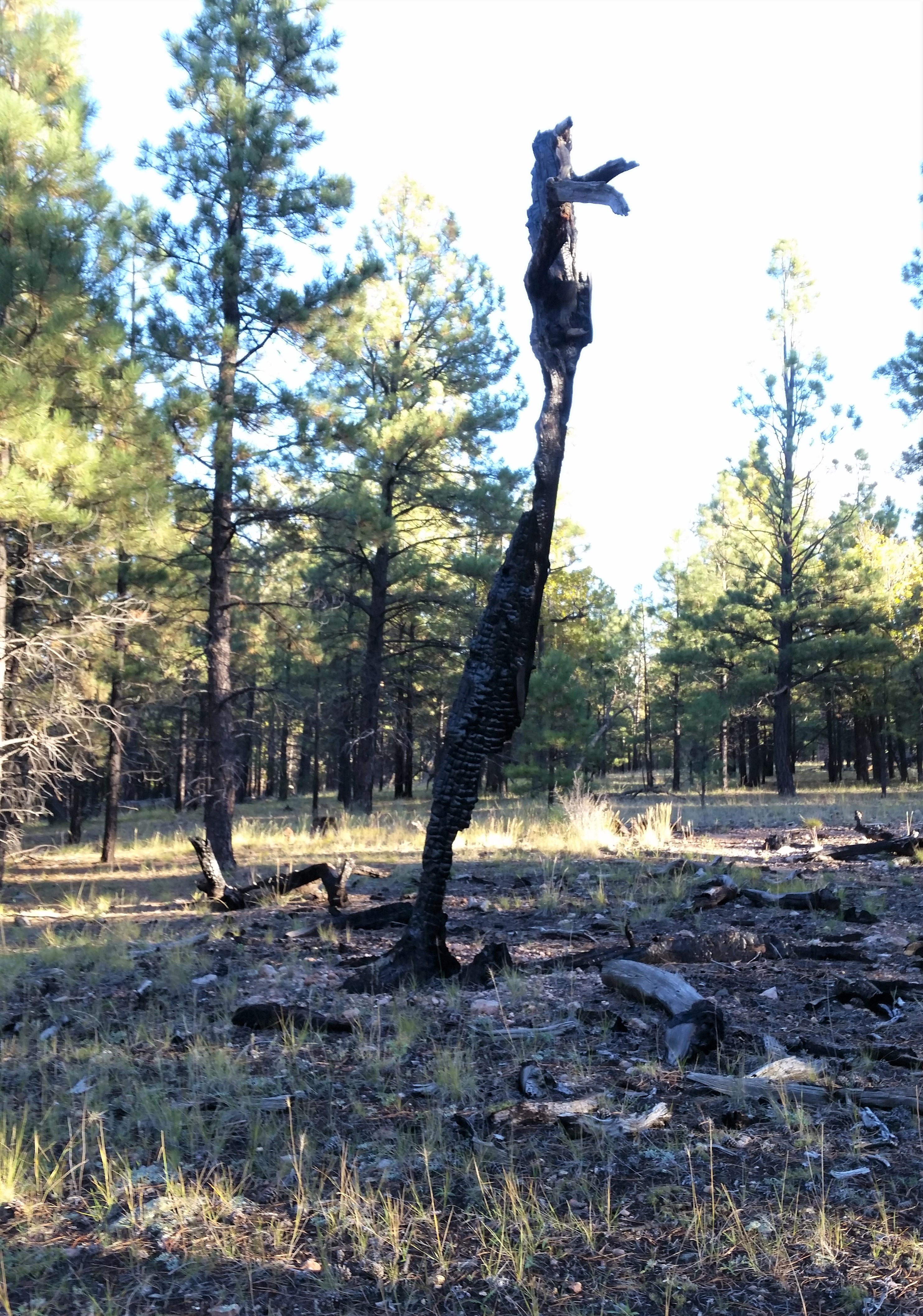 Day 28