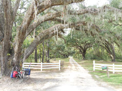 Deep South (unpublished)