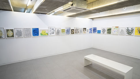 4500px_DSC00359_1.jpg
