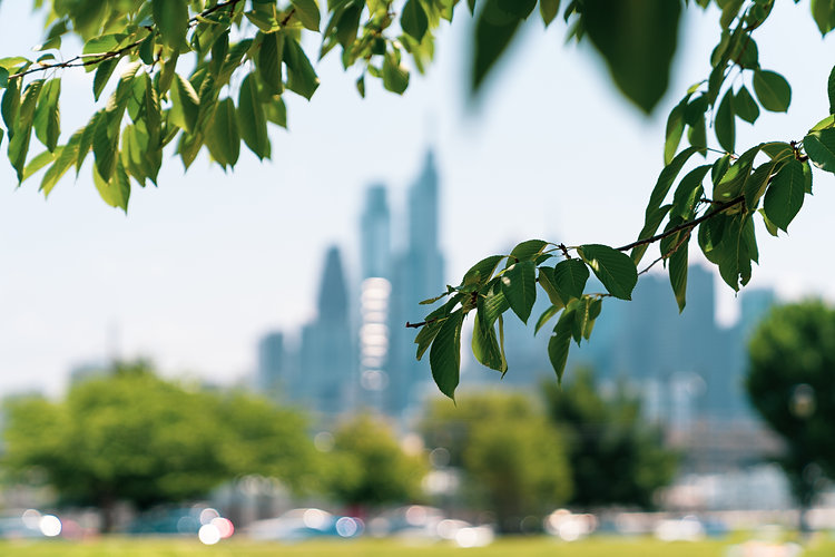 AdobeStock_213727041 (1)(2).jpeg