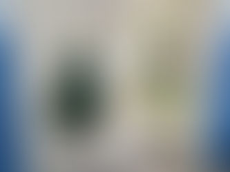 🌟第5号メールマガジン配信🌟 絵本と演劇で紛争を止める 現場密着キャンペーン