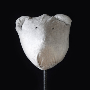 Ludovica Gusti - Polar Bear