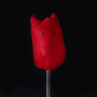 Ludovica Gusti - Red Squirrel