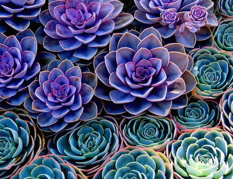 0A6AB487-4FB8-4E5E-AD10-221F646A18E0.jpeg