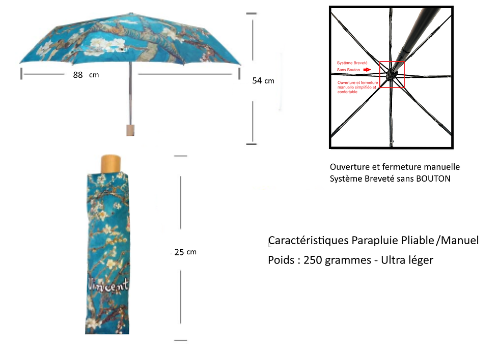 Miniature : Dimensions parapluie