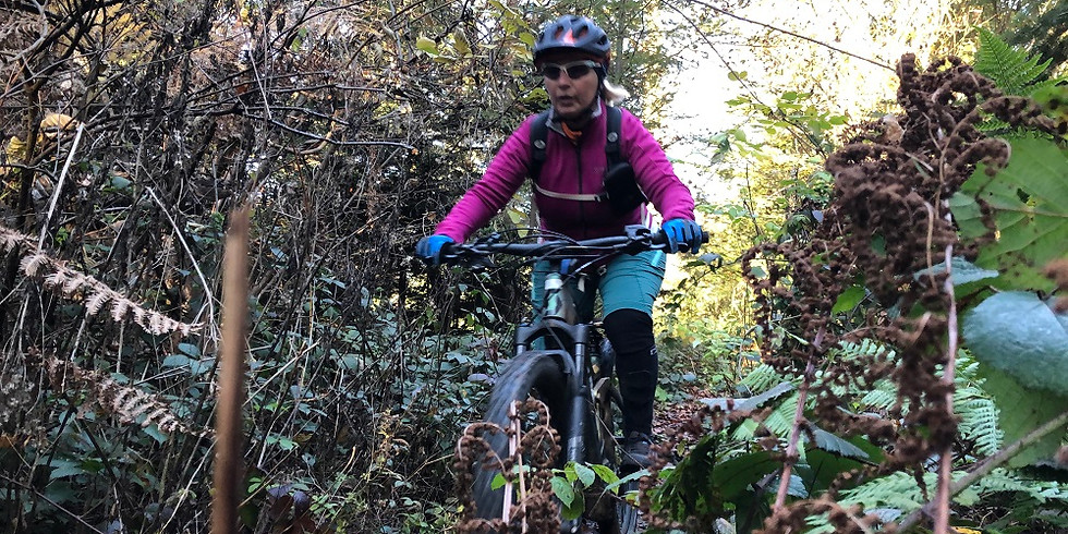 Neu E-Bike Abendtouren. Start ab 31. März, jeden Mittwoch