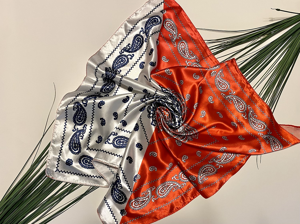 Miniatura: Blake Paisley Scarf