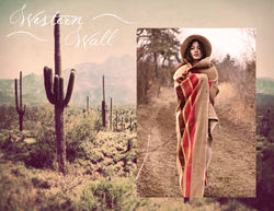 Trend/Collection Development