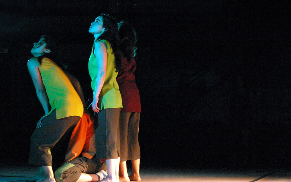 Taller de Danza Contemporánea (DAE PUCV)