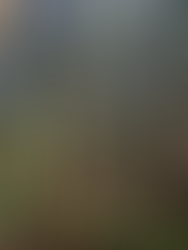 2025年11月3日 農地周辺整備@智頭町山郷