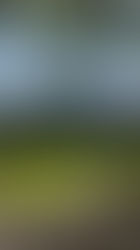 2026/4/5 伯耆町福岡中央