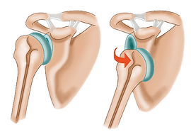 image (19)_edited.png