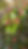 26E4D7FF-3C4A-442F-AD81-9B3F6D6F8D53_edi