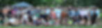 53086817806_7a688525c2_o_edited.jpg