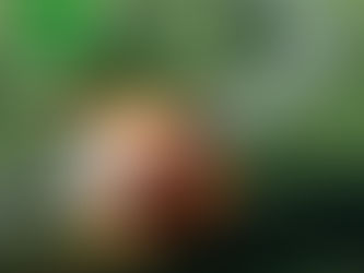 JUGADOR DE FÚTBOL CON ESGUINCE DE TOBILLO: ¿LISTO PARA VOLVER AL JUEGO?