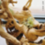 Def. - 봄이 올까?