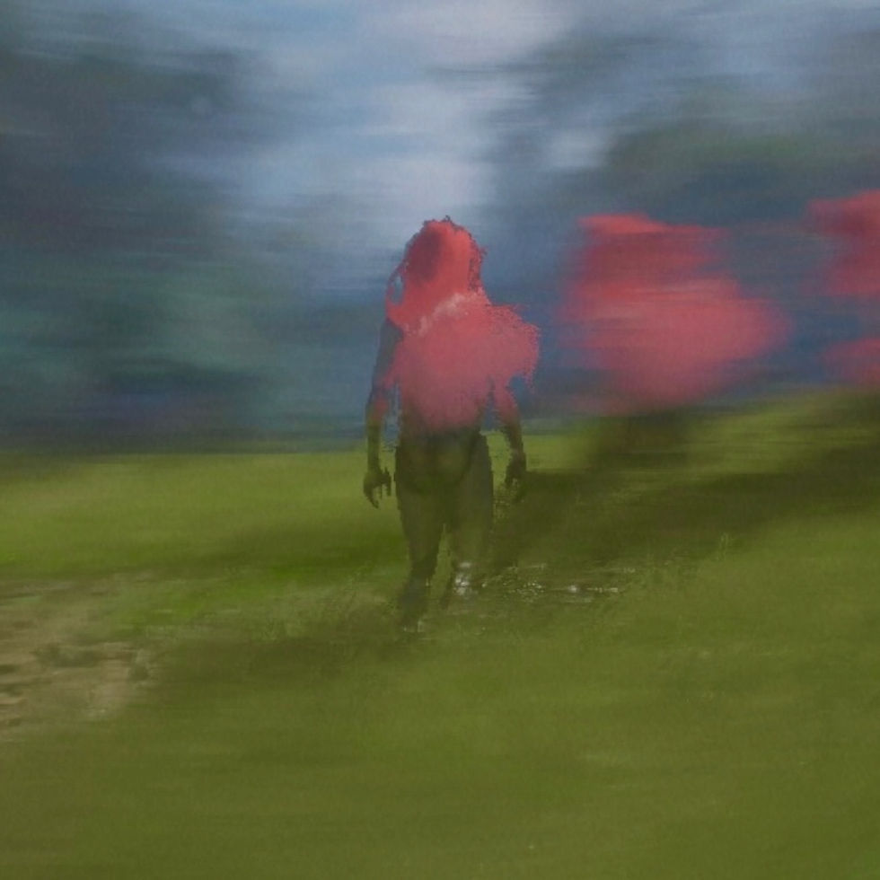 PURFLAMINGO - Glitch trick