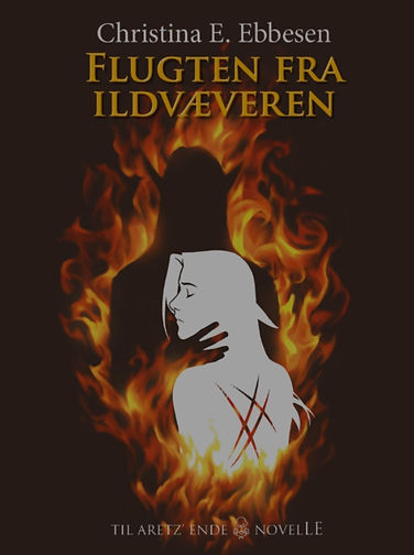flugten forside.jpeg