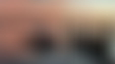 Stunning morning in the Bay of Islands