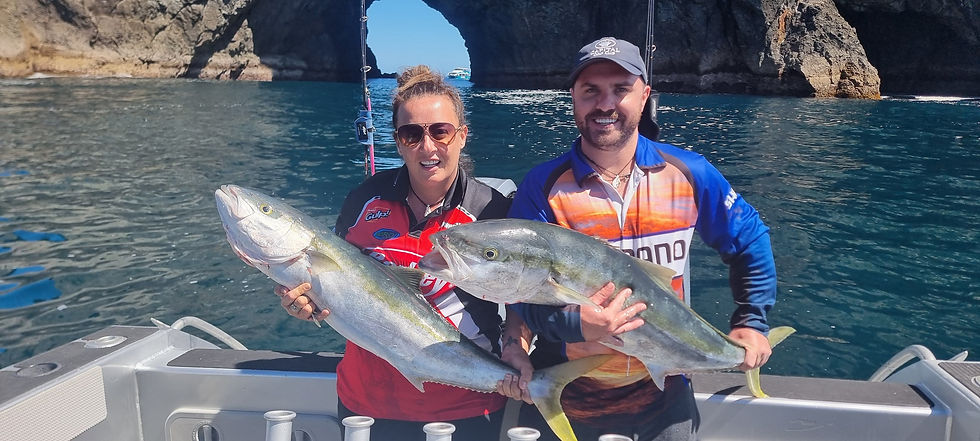 Kingfish just off the Hole in the Rock Bay of Islands
