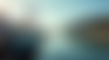 Memorable Fishing Days Out in Paihia