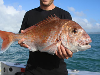 Days Out Fishing Charters Bay of Islands & NZ Fishing News NZ Hutchwilco Boat Show 2018 Competit
