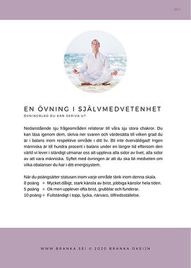 En ovning i sjalvmedvetenhet I Branka Ok