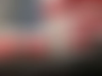 Honoring the Heroes: 9/11 Veterans Remembered