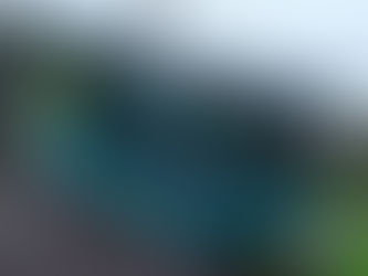 What to Do With a Trampoline in High Winds?