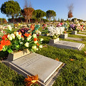 cemen7-1900-300-1900x950.jpg