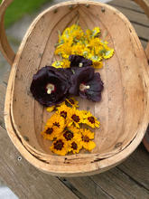 IMG_0187 (1).jpeg