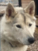IMG_9387.jpeg