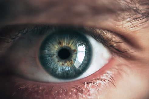 yeux.webp