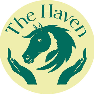 Future Opportunities