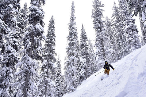 Backcountry Skiing