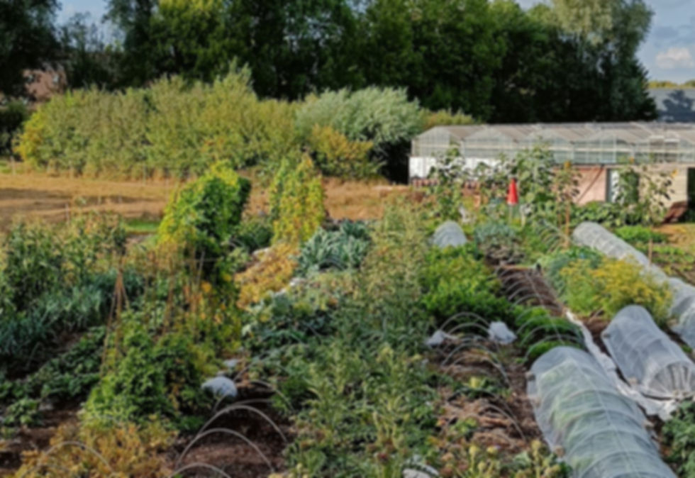 WhatsApp Image 2025-09-09 at 15.05.40 (5).jpeg