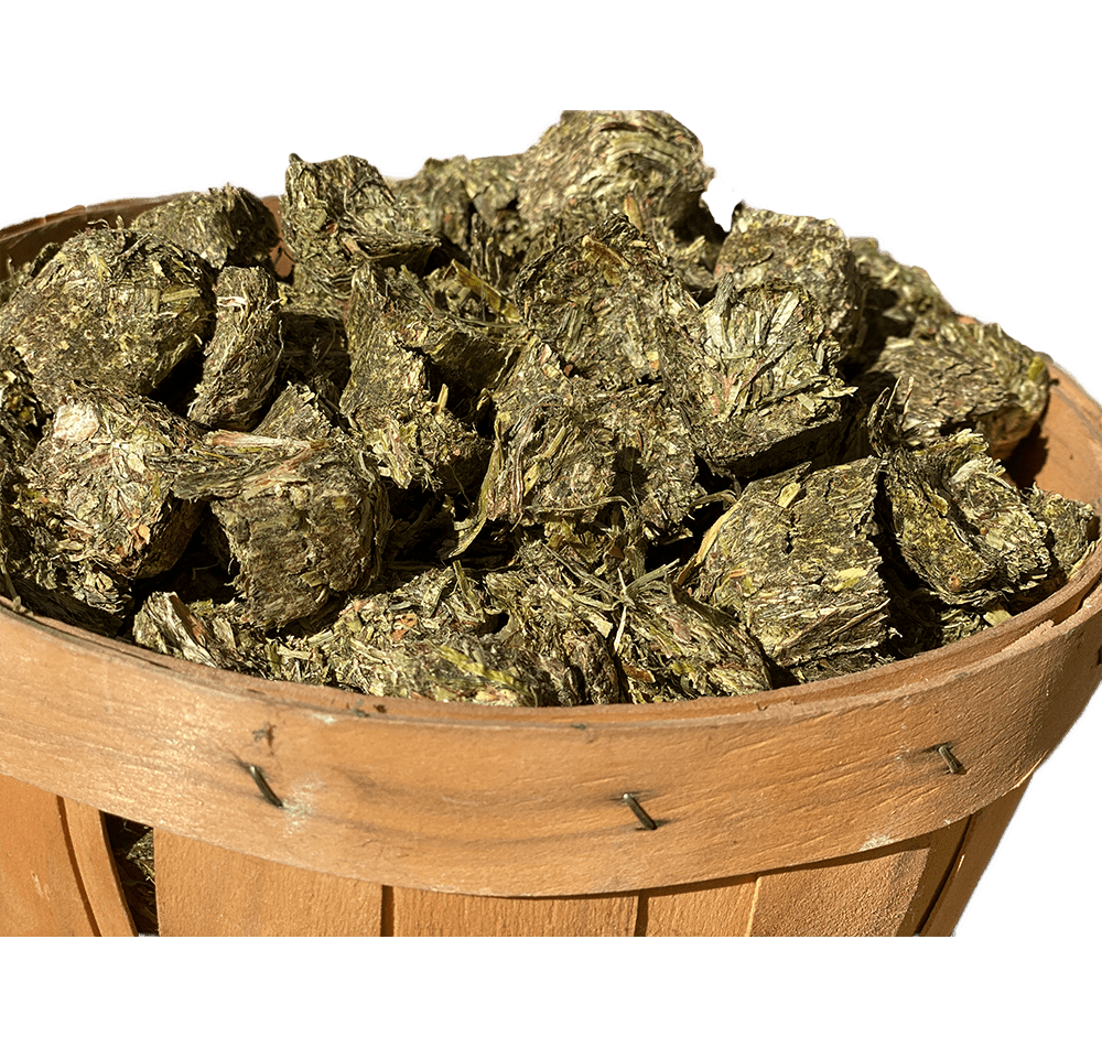 Danco Forage NonGMO Alfalfa Cubes