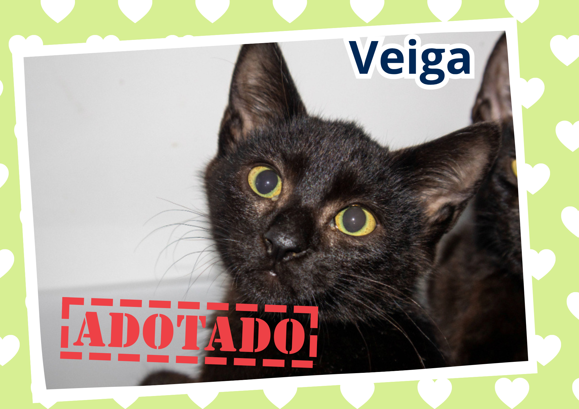 Veiga