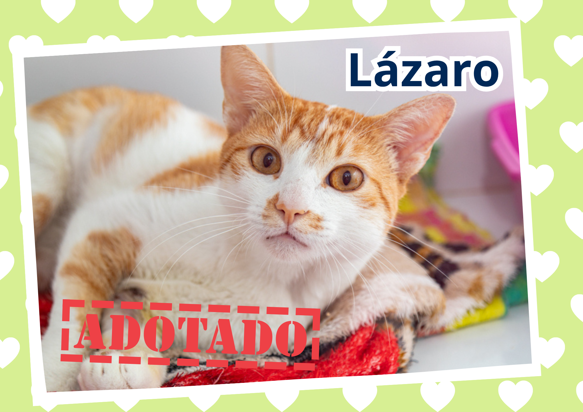 Lázaro