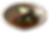 Fish On Nest