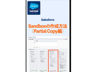 Sandboxの作成方法(Partial Copy編)