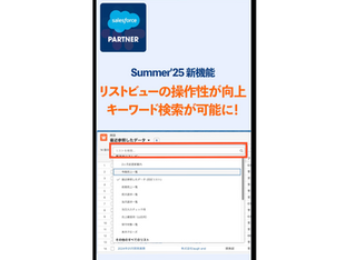 Summer'25 新機能-リストビューの操作性が向上しキーワード検索が可能に！