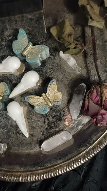 Thumbnail: BONES & BUTTERFLIES WAX MELTS