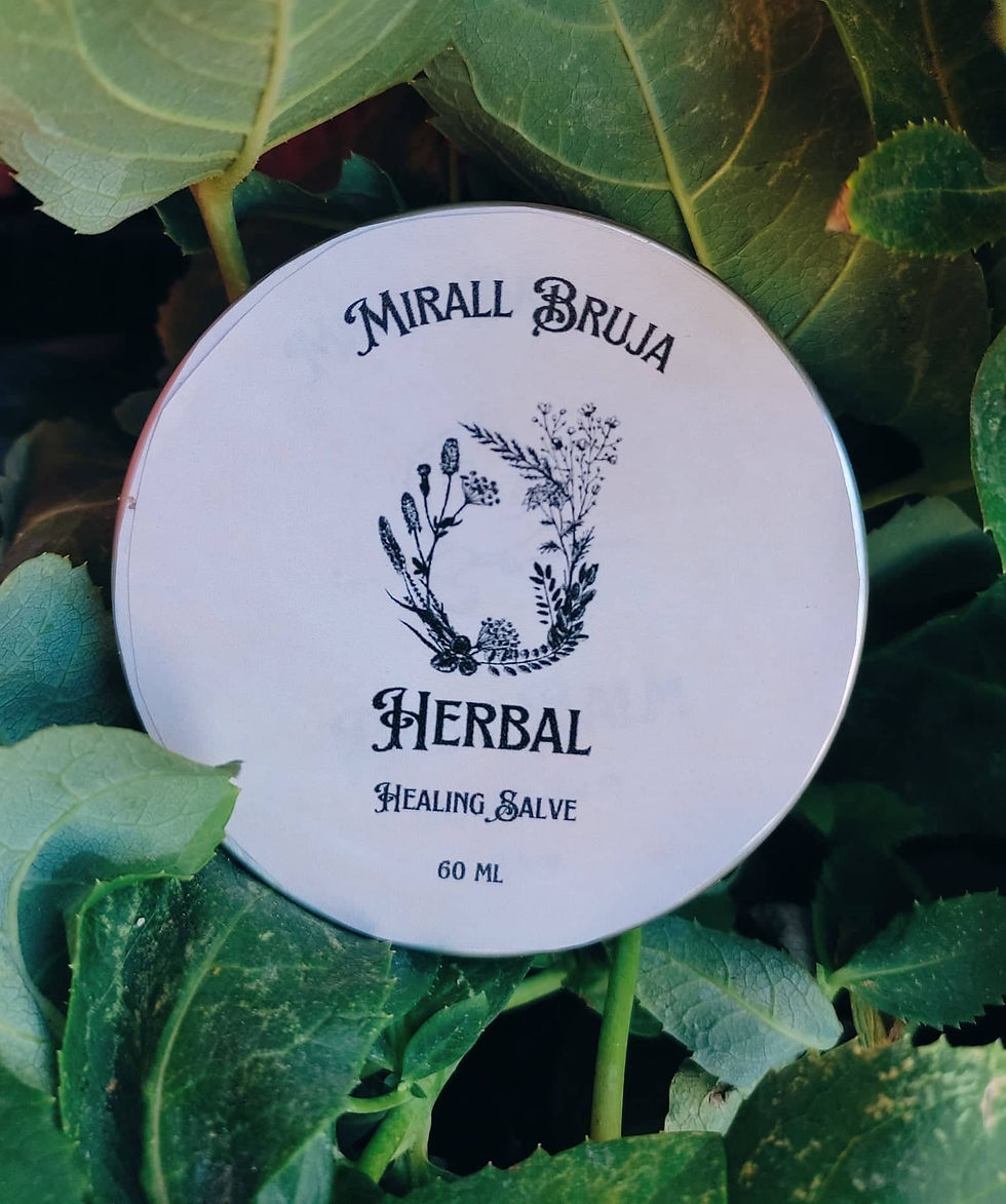 HERBAL | Healing Salve