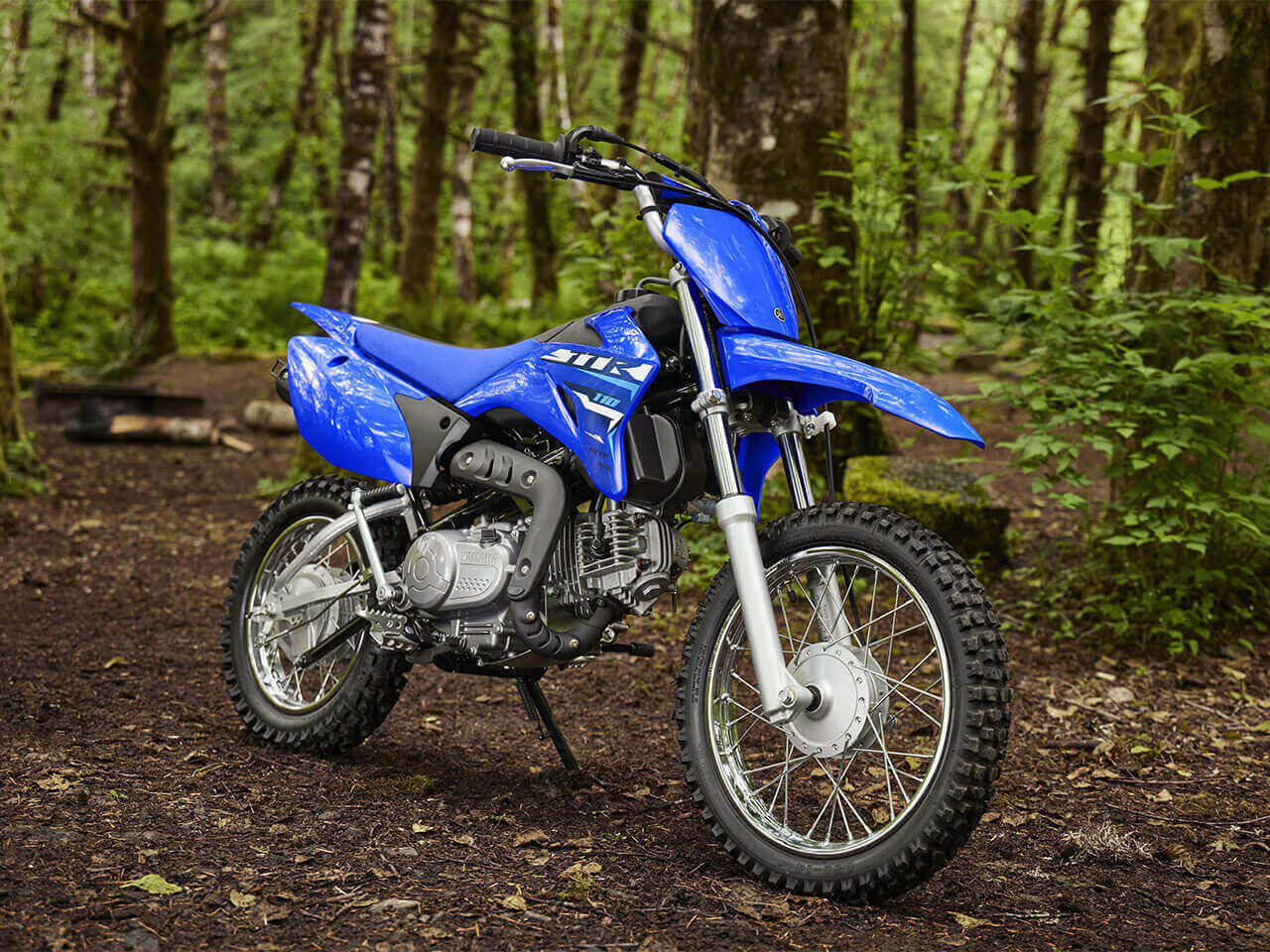 TT-R110E