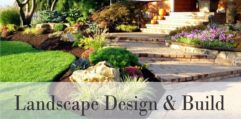 tuolumne county landscape.png