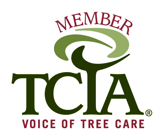 TCIA Member.jpg