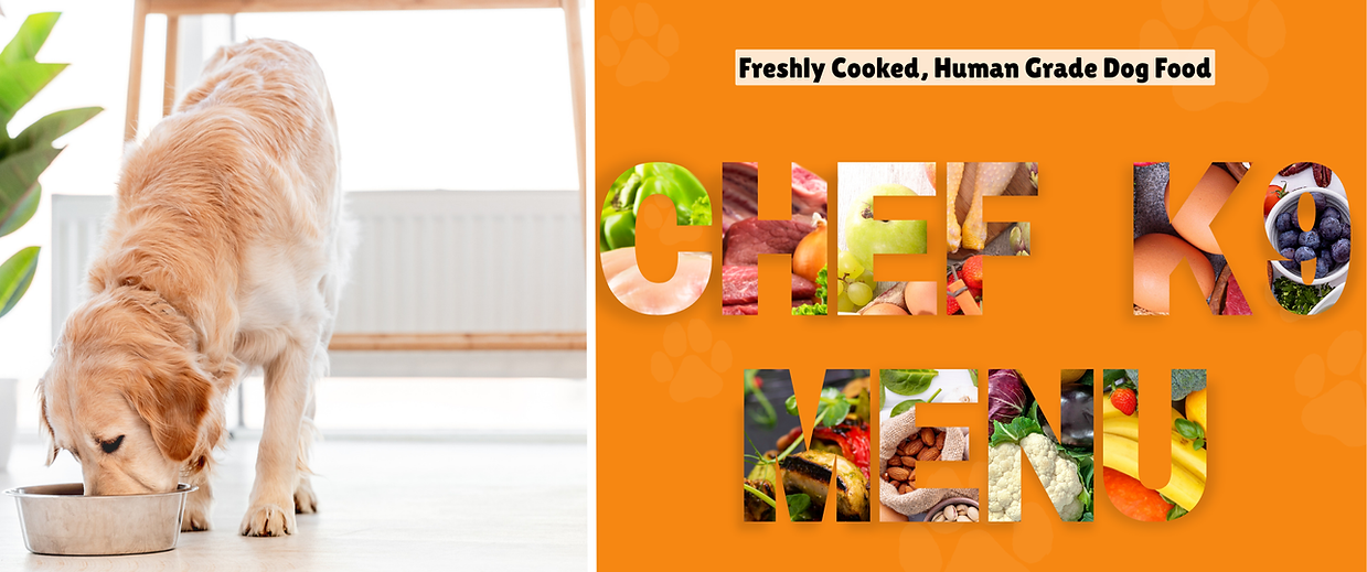 Olive Green Natural & Organic Pet Food Lifestyle Instagram Post (5).png