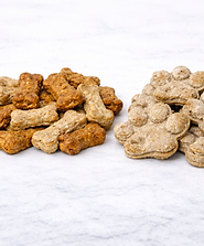 ChatGPT Image Jan 10, 2026, 07_07_25 PM.png