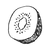 kiwi.png